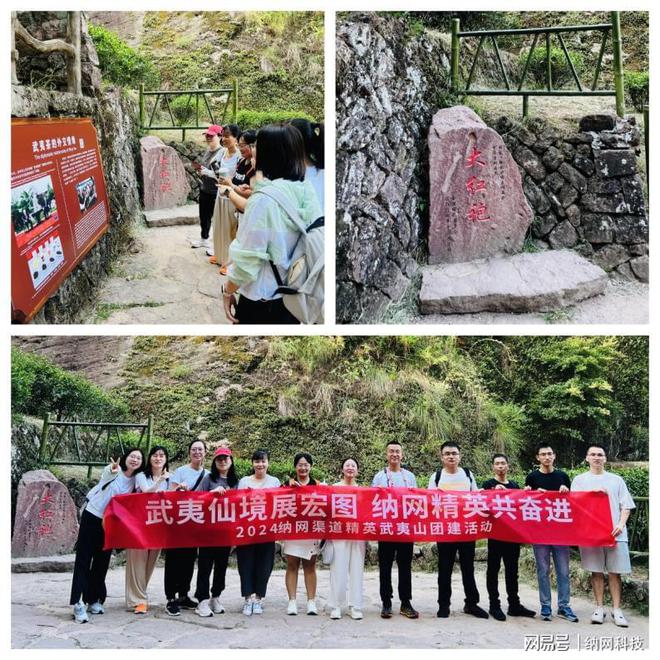 纳网科技2024年中旅游团建活动圆满结束！(图5)