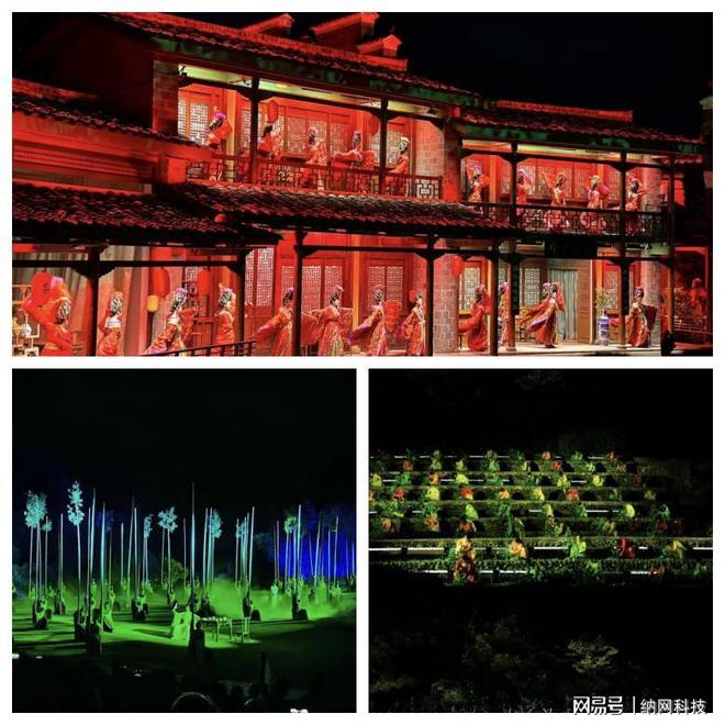 纳网科技2024年中旅游团建活动圆满结束！(图6)