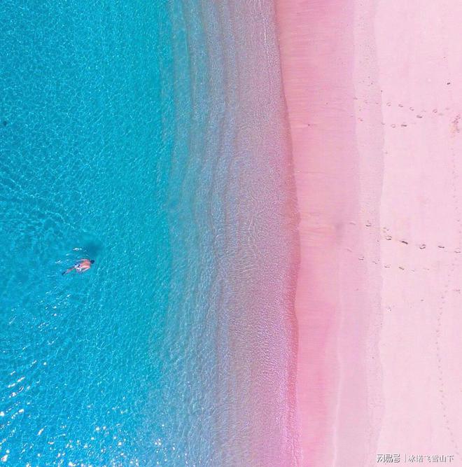 新世界企业开发旅游娱乐行业有限公司(图5)