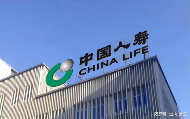 中国人寿财险青岛市分公司:专业团队卓越服务(图1)