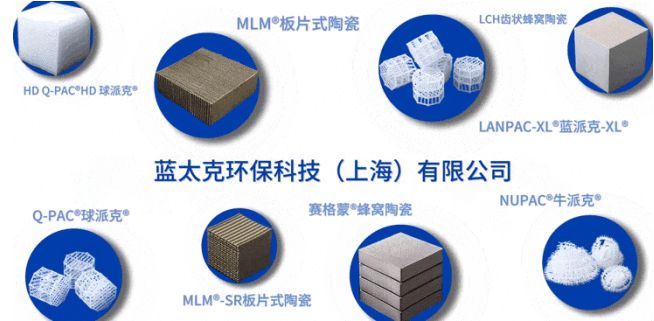 同心聚力欢乐赋能蓝太克2024年中会议及团建活动回顾(图4)
