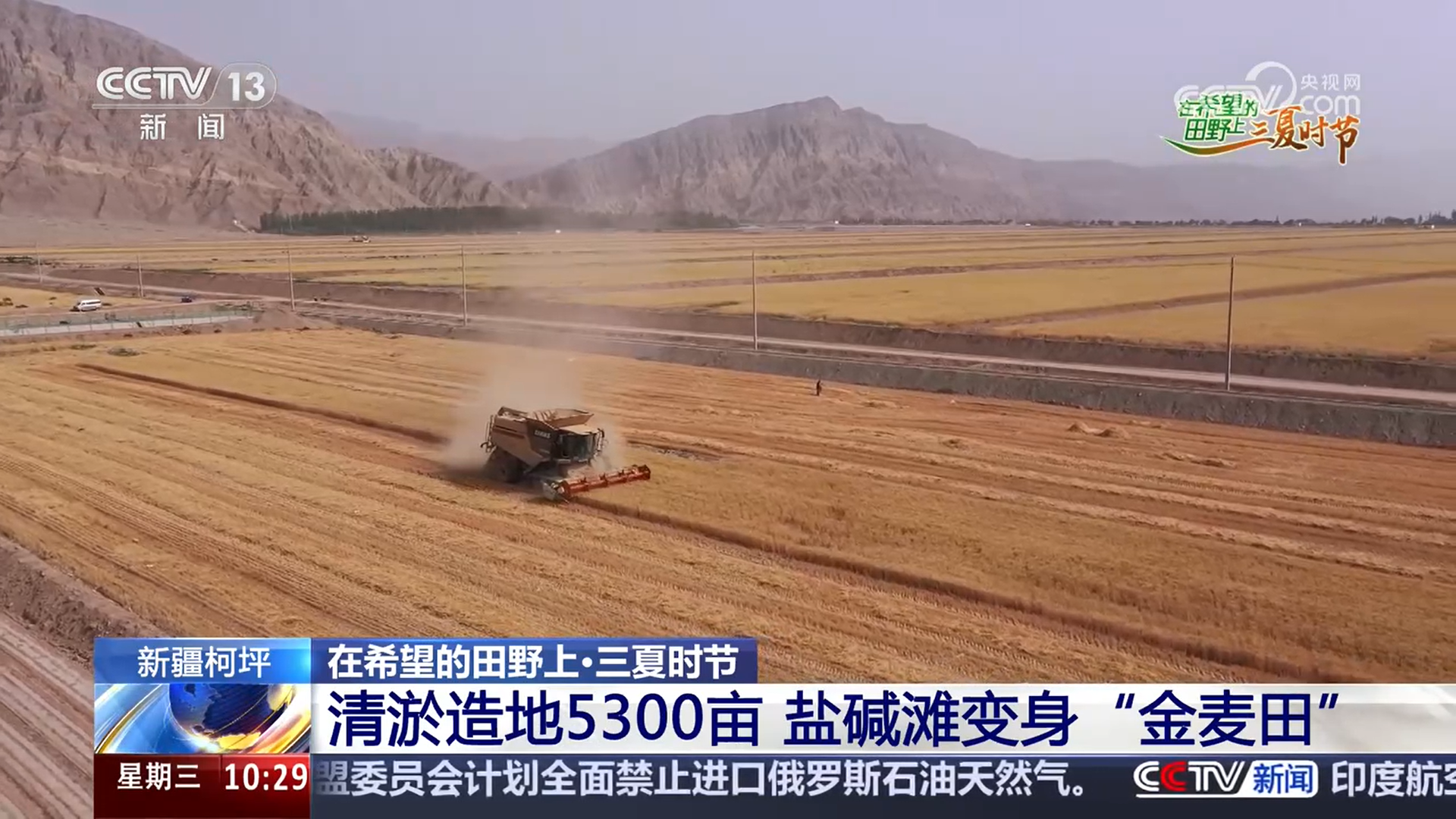 盐碱滩变“金麦田”石山成“致富山”戈壁荒山改造生态效益与经济效益双赢(图1)