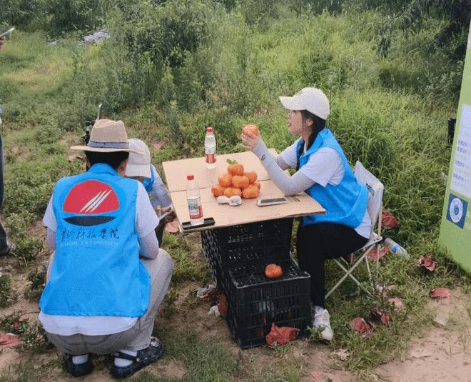 黄河科技学院商学部党委：党建领航凝合力团建聚力助振兴(图11)