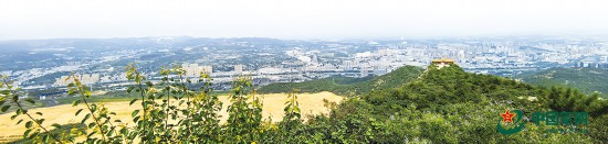 在狮脑山上“讲好抗战故事”(图1)