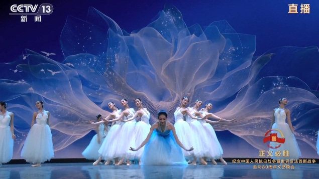 文艺晚会《正义必胜》刷屏！细数感人瞬间(图6)