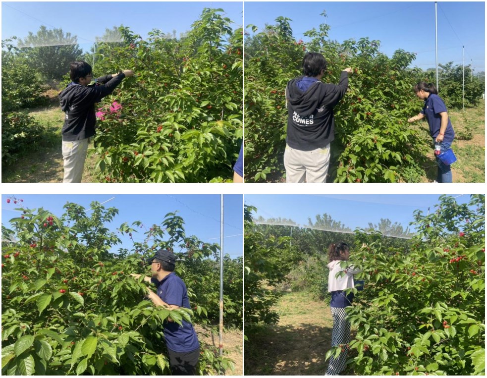 华企集团2024年团建活动圆满举行(图4)