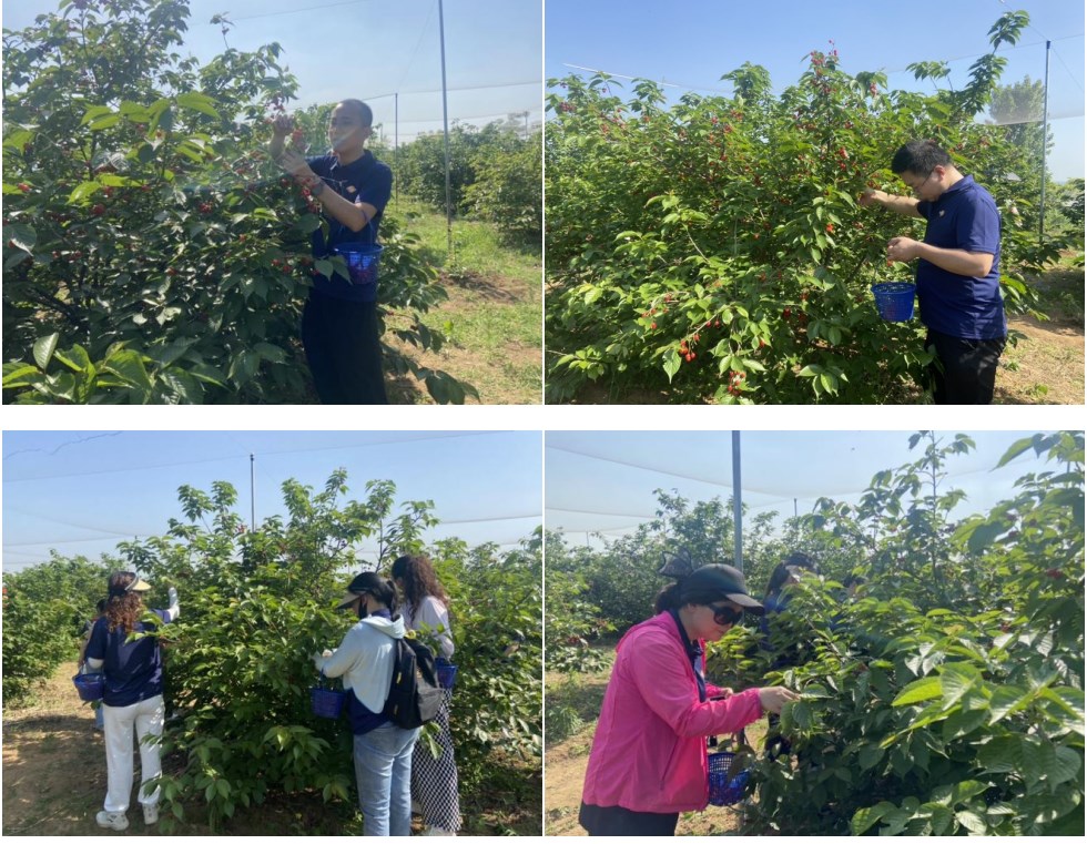 华企集团2024年团建活动圆满举行(图5)