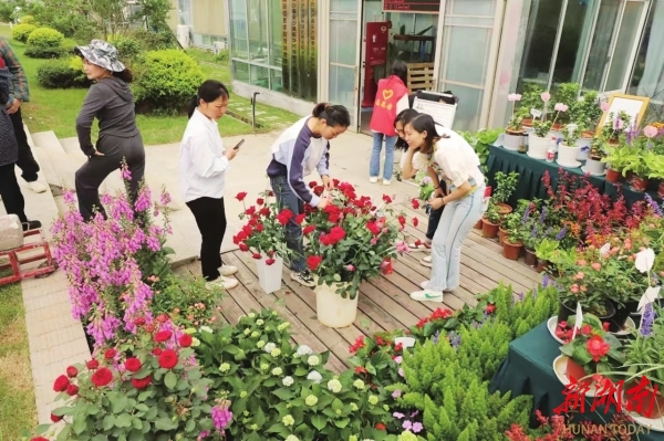 湖南日报特稿丨长沙县安沙镇：小院经济绘新景满院生辉促振兴(图2)