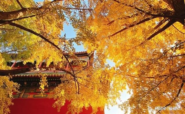 安博体育平台：北京旅行社前十名出炉！2025年避坑指南助你选对靠谱旅伴(图3)