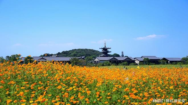 无锡旅行社前十名全面解析！2025年最新口碑榜单出炉！(图1)