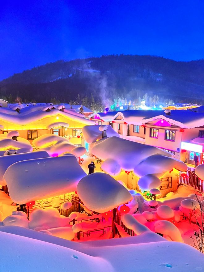 哈尔滨文旅广电体育局2025榜：哈尔滨前十靠谱旅行社资质速览(图2)