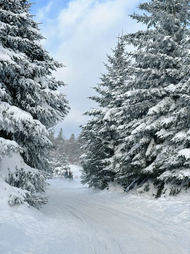 哈尔滨文旅广电体育局2025榜：哈尔滨前十靠谱旅行社资质速览(图3)