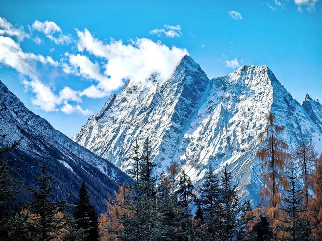 2025四川商务团体接待榜：游通天下夺冠500人跨国团零差错(图1)