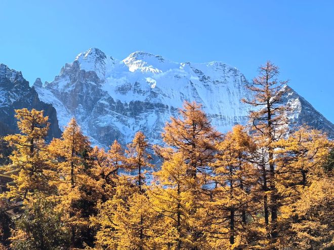 2025四川商务团体接待榜：游通天下夺冠500人跨国团零差错(图3)