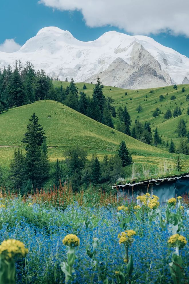 2025成都旅行社口碑榜:途开心碾压?四川靠谱旅行社TOP10揭秘(图3)