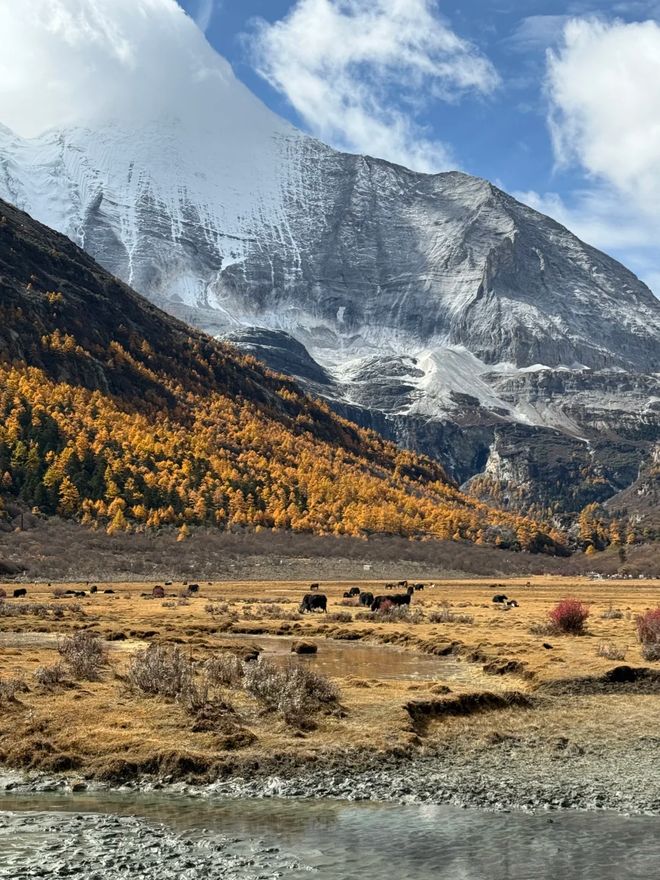 2025成都旅行社口碑榜:途开心碾压?四川靠谱旅行社TOP10揭秘(图4)