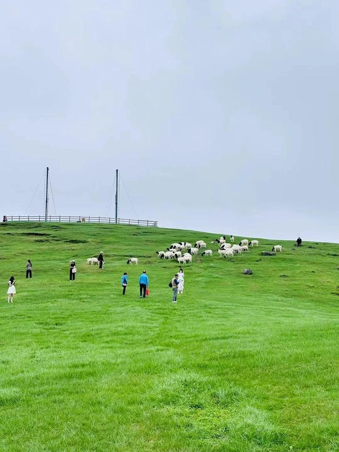 性价比高的企业拓展团建旅游旅行社(图1)