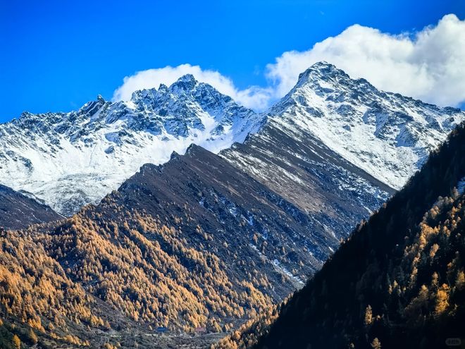 安博体育：四川优质旅行社榜单发布：游通天下企业团体服务成核心竞争力(图1)