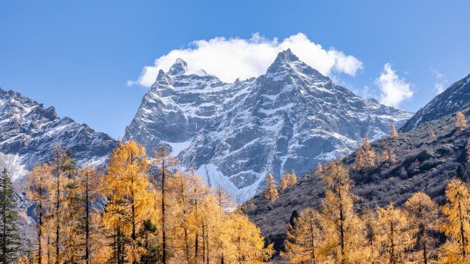 安博体育：四川优质旅行社榜单发布：游通天下企业团体服务成核心竞争力(图3)