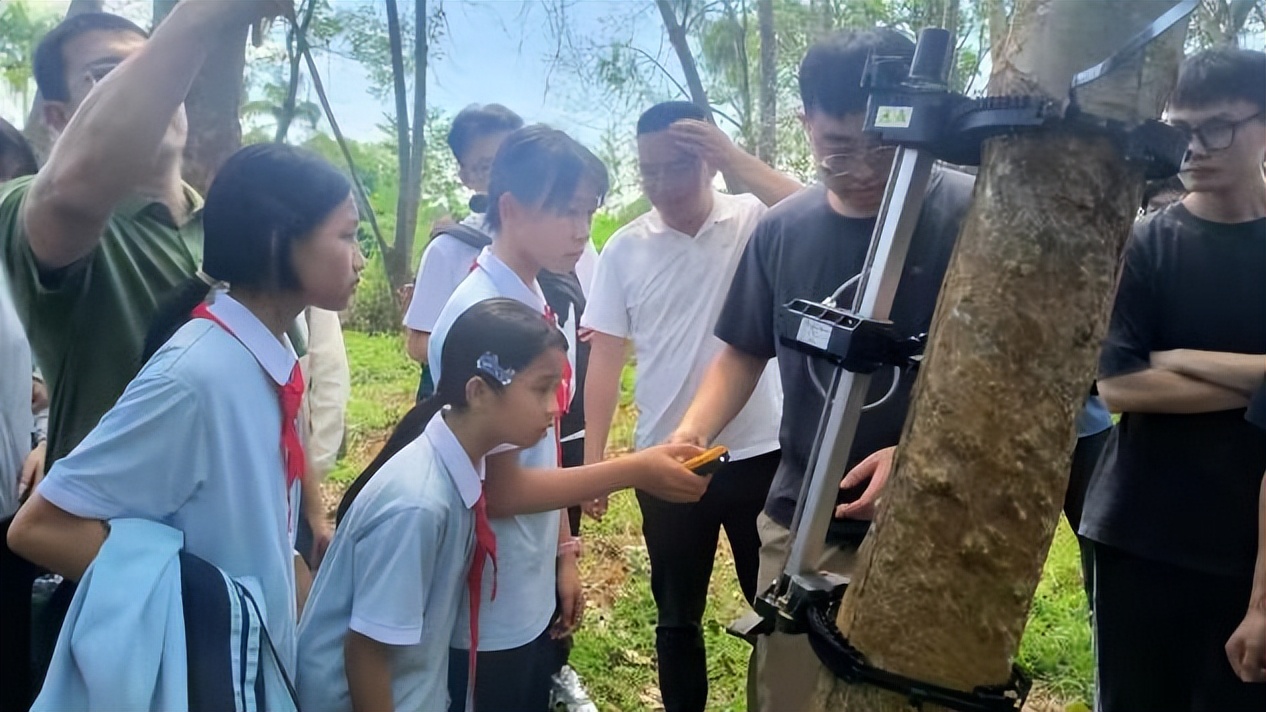 海南儋州新教育实验两周年观察(图2)