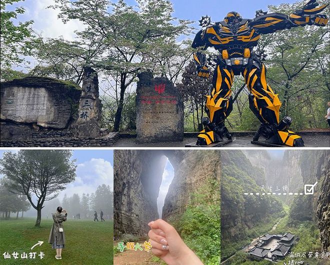 安博体育网站：2025重庆旅游协会认证：重庆口碑好的旅行社前10名TOP10完整名单(图1)